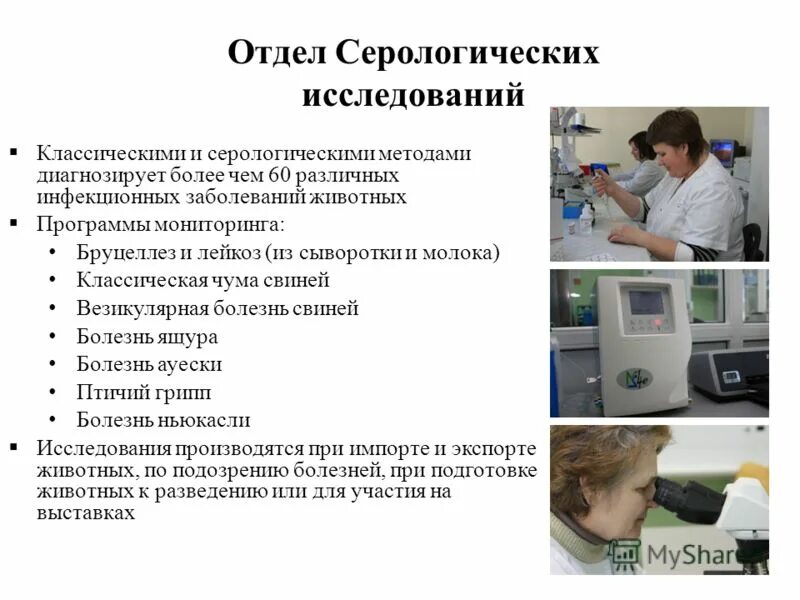 Серологический метод микробиология. Лабораторные исследования в ветеринарии. Биохимические исследования. Сыворотка крови для серологического исследования. Серологические методы реакции рск.