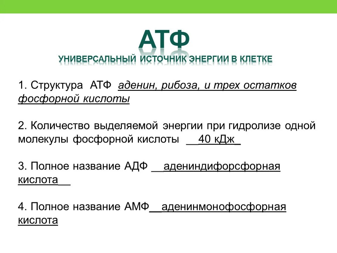 Атф форма энергии. Количество энергии в АТФ. Функции АТФ биохимия. АТФ В организме человека.