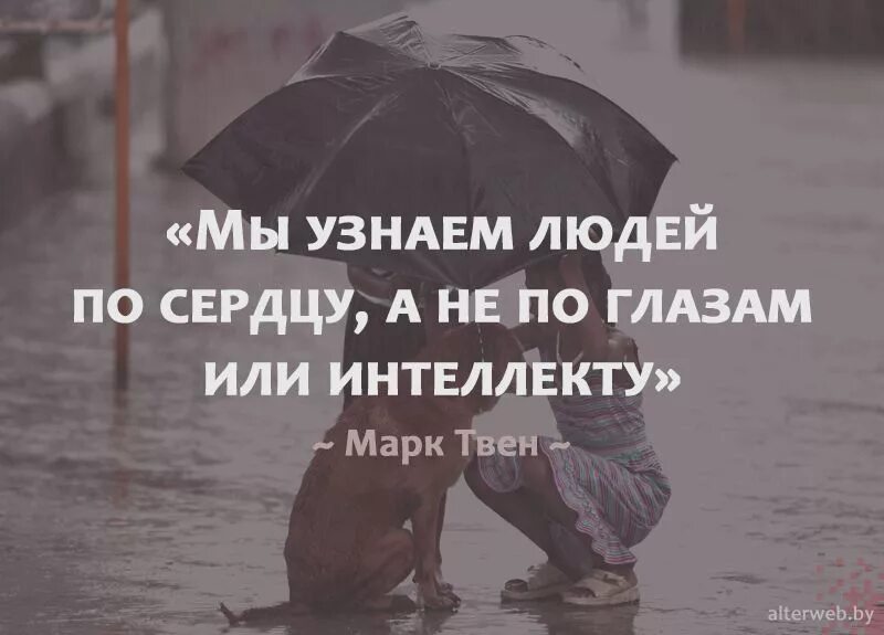 Высказывание о сердце человека. Высказывания о сердце. Высказывания о сердце. Высказывание о сердце человека. Берегите сердце.