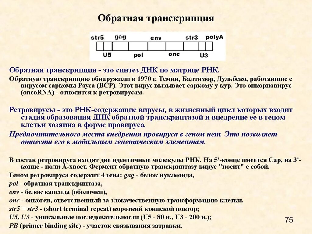 Обратная транскрипция у ДНК вирусов. Обратная транскрипция у вирусов. Обратная транскрипция биохимия. Обратная транскрипция у вирусов механизм.