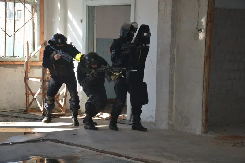 Тренировка собра. Собр рукопашный бой. Отряд спецназа собр. Спецназ россии подготовка. Тренировка собра.