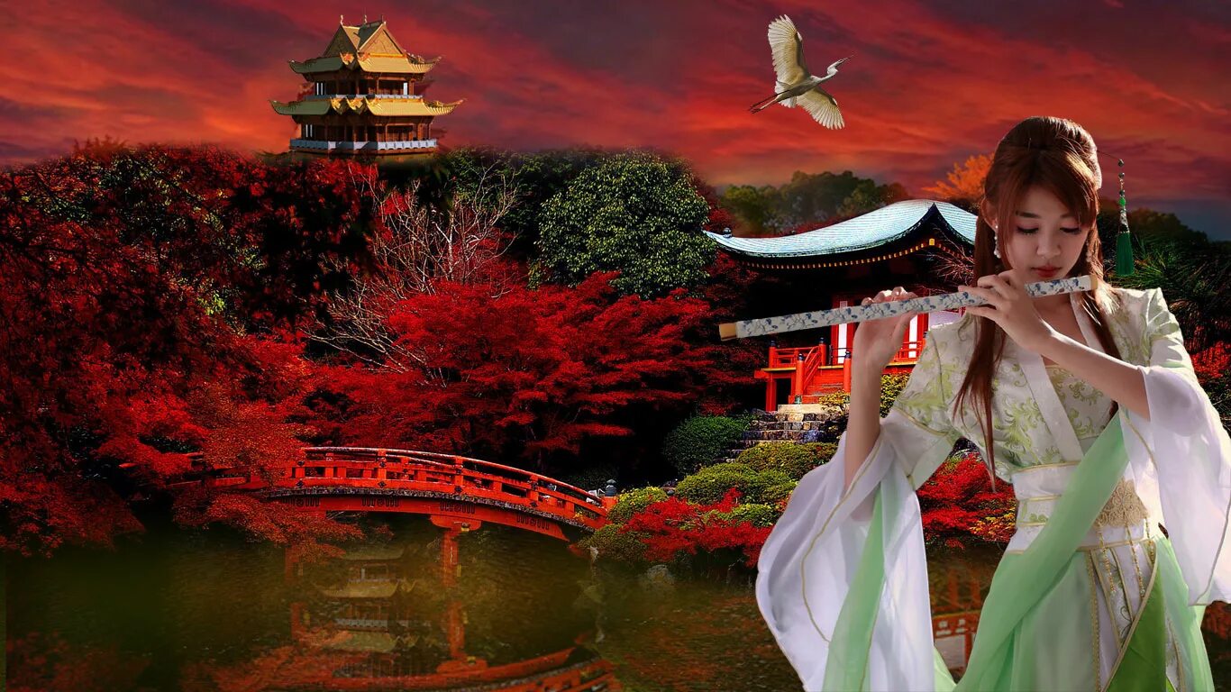 ямато гото. цугару сямисэн. японка вектор. традиционная музыка японии. япония сакура гейша.