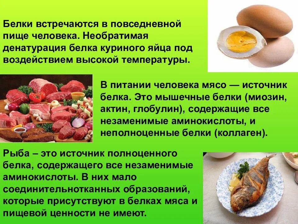 Значение белков жиров и углеводов для организма