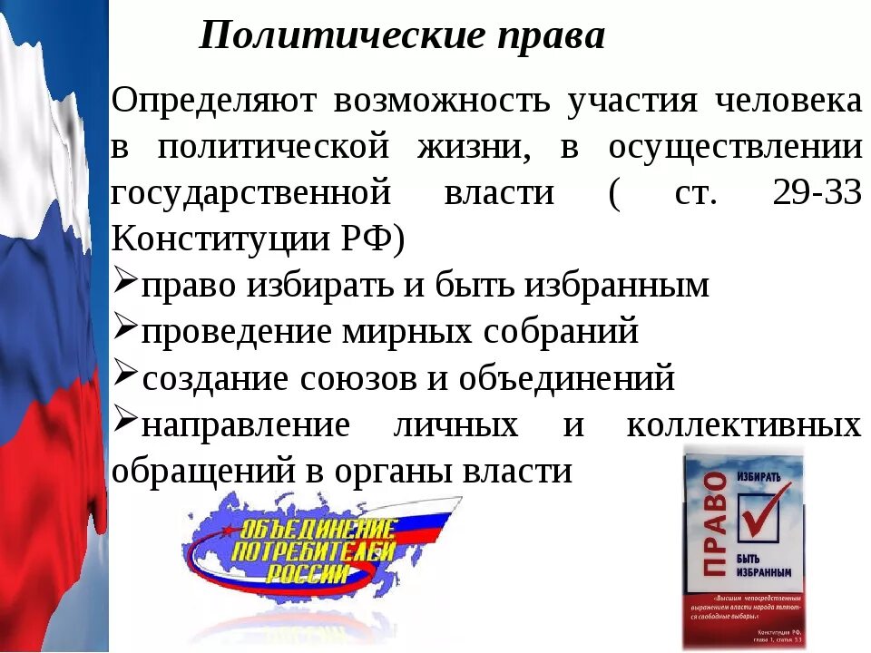 3 примера политических прав российских граждан