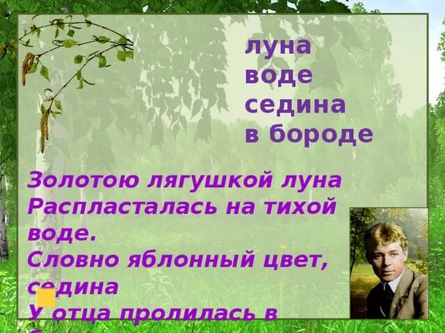 Лягушкой луна распласталась на тихой воде. Словно Яблонный цвет Седина у отца пролилась в бороде. Золотую лягушку Луна распласталась на тихой. Словно Яблонный цвет Седина. Яблонный цвет Есенин.