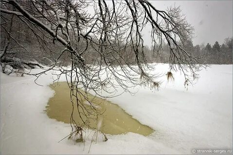 Зимой на реке появился