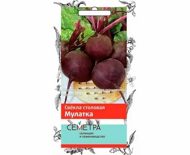 Свекла мулатка описание