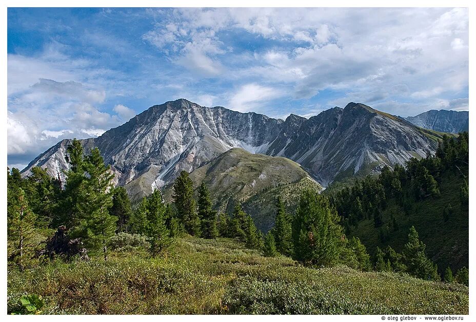 саяны сервис