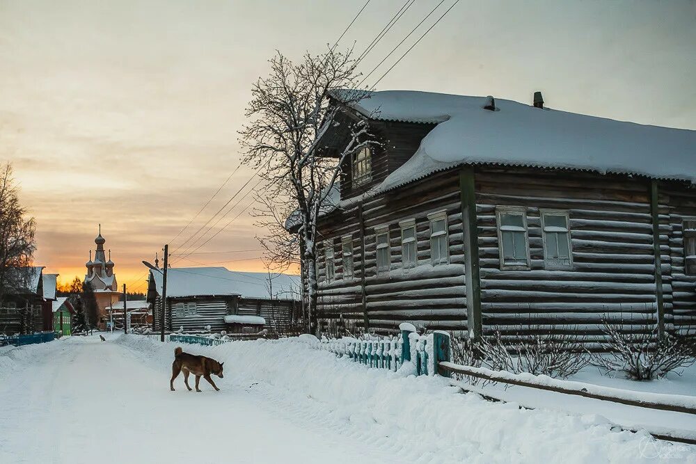 Подслушано мезень в контакте барахолка. Деревня Кимжа Архангельской области зимой. Деревня Кимжа Мезенского района. Деревня Кимжа Архангельской области. Деревня Мезень Архангельской области.