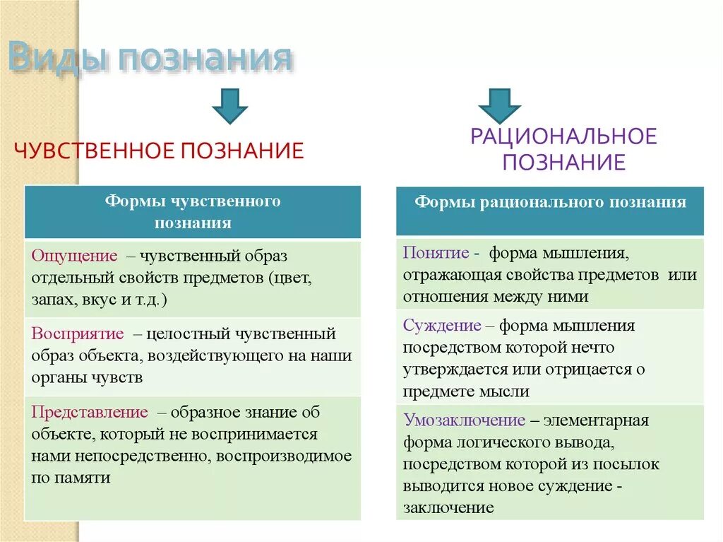 Наука о чувственном познании. Взаимосвязь и отличия чувственного и логического познания. Чувственное и рациональное познание. Виды познания в логике. Формы логического познания.