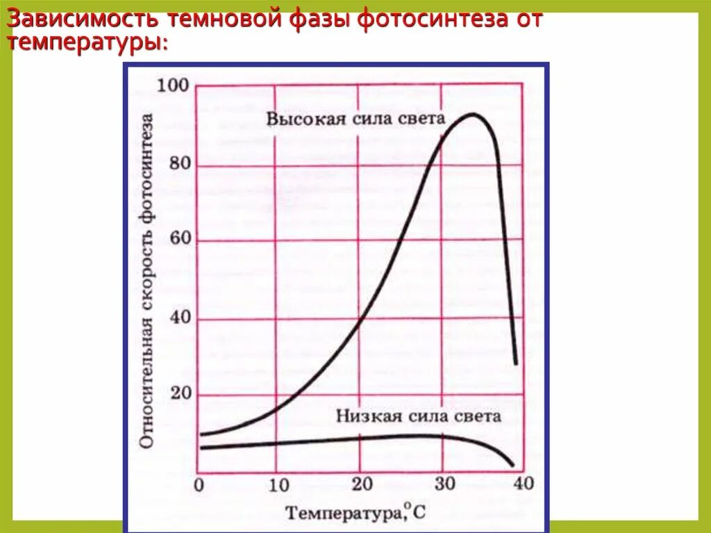 На каком графике изображена зависимость интенсивности фотосинтеза. Зависимость дыхания от температуры. влияние температуры на фотосинтез. график зависимости дыхания. зависимость скорости фотосинтеза от температуры.