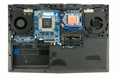 Tm g