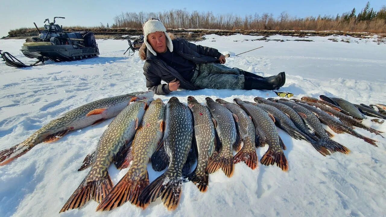 Новинки видео 2019. Рыбалка Якутия 2021. Зимняя рыбалка на щуку в Якутии. Зимняя рыбалка в Якутии 2020. Клевая рыбалка в Якутии 2020.