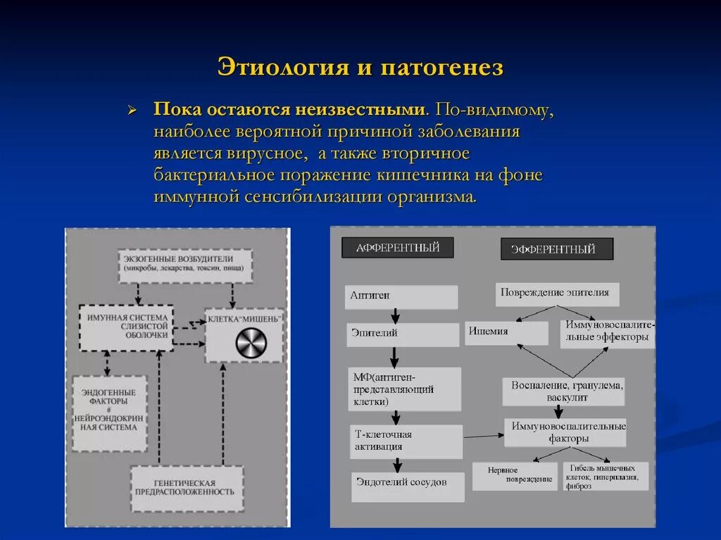 Болезнь Берже этиология патогенез. Болезнь Конна патогенез. Патогенез это в медицине. Общая этиология общий патогенез