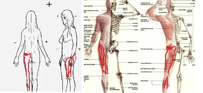 Болит вся левая сторона тела. Боли в частях тела. Болит правая сторона туловища. Болит левая сторона тела. Болит вся левая сторона туловища.