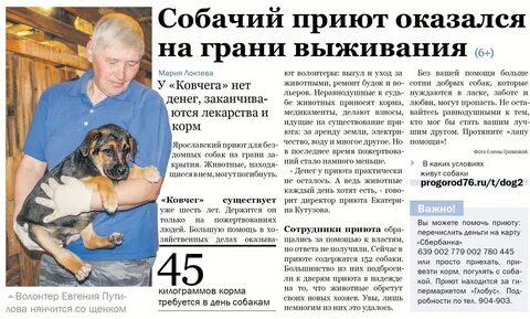 Номер телефона приюта для собак