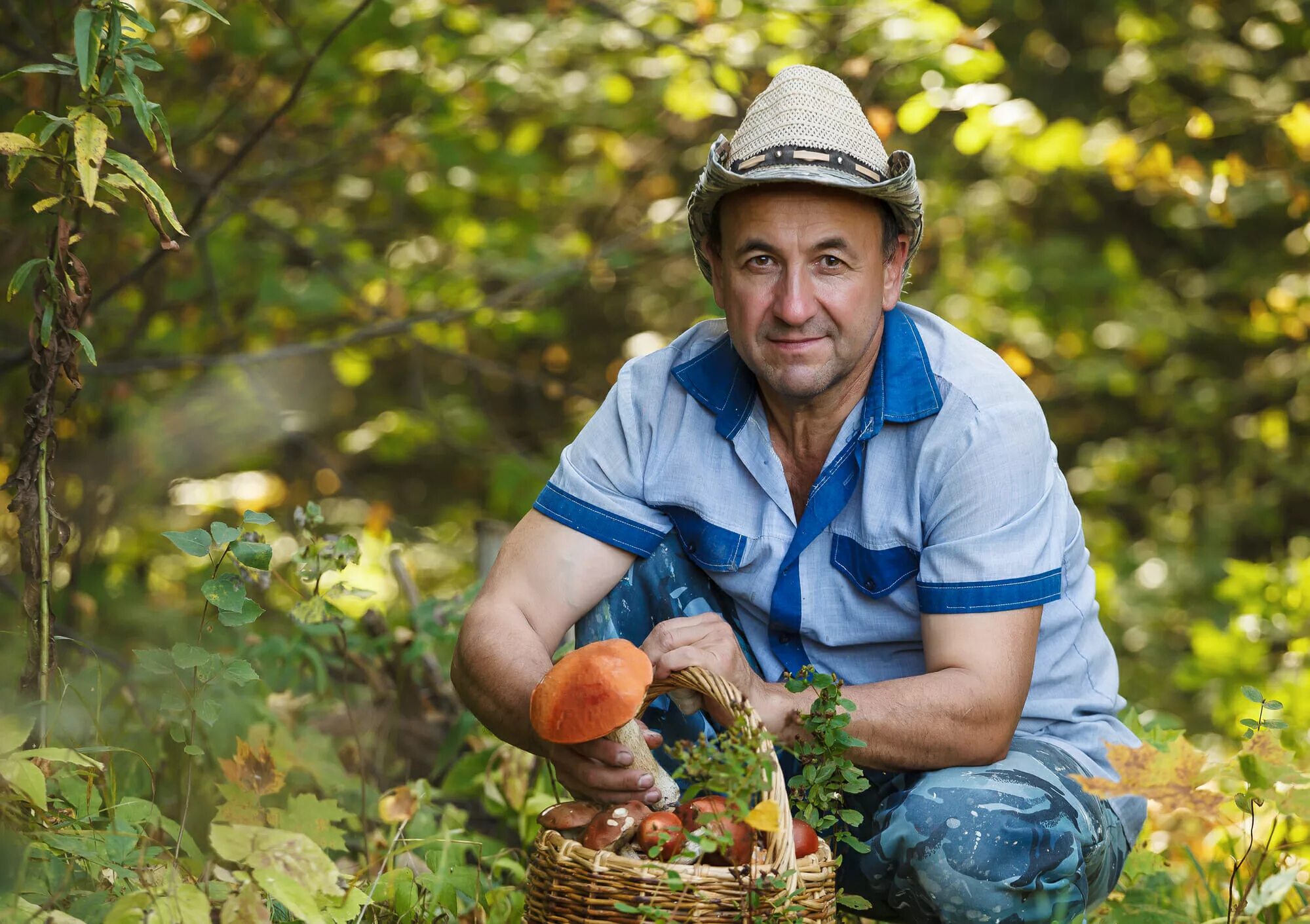 Picking mushrooms. Грибник. Люди собирают грибы. Мужик с грибом.