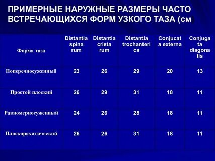 Средние размеры таза