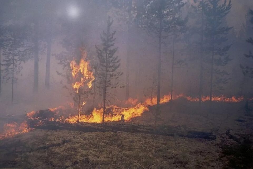 Пажарв Саянского района Красноярского края. Красноярск в дыму от пожаров леса. Дым от пожара. Лесные пожары Саянский район.