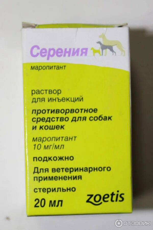Противорвотное для собак. Серения противорвотное средство для кошек. Zoetis Серения. Zoetis Серения противорвотное средство, 20 мл. Противорвотное лекарство для собак.