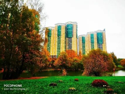 Сниму квартиру в бирюлево восточное москва