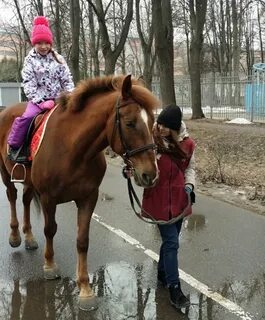 Под уздцы