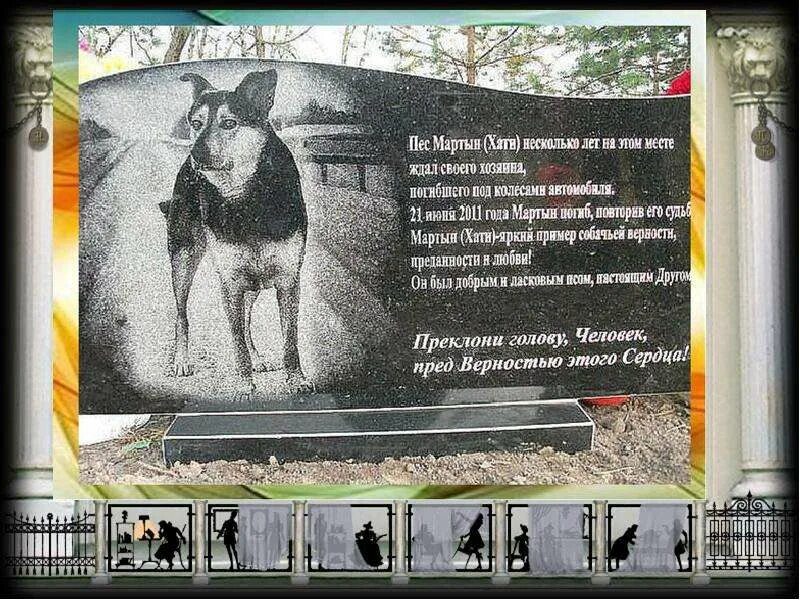 Рассказы о преданности животных