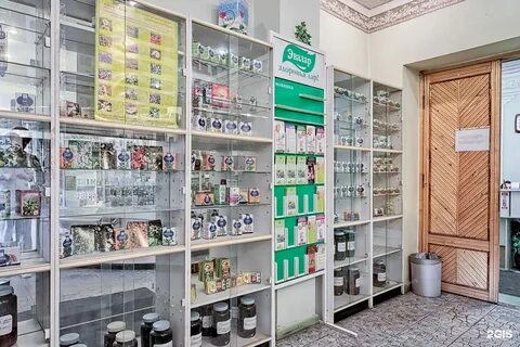 Типанова 29 залманова
