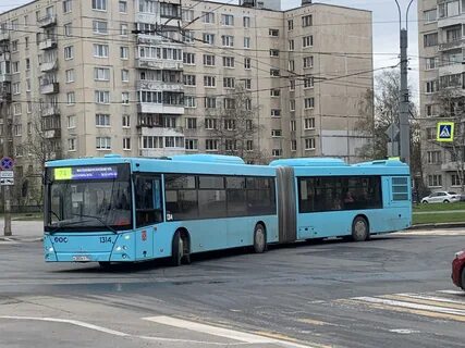 Бирюзовый автобус