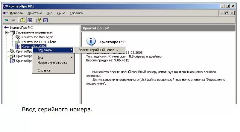 Nalog ru cryptopro. Лицензия КРИПТОПРО. Управление лицензиями КРИПТОПРО. Управление лицензиями КРИПТОПРО PKI. Серийный номер КРИПТОПРО.