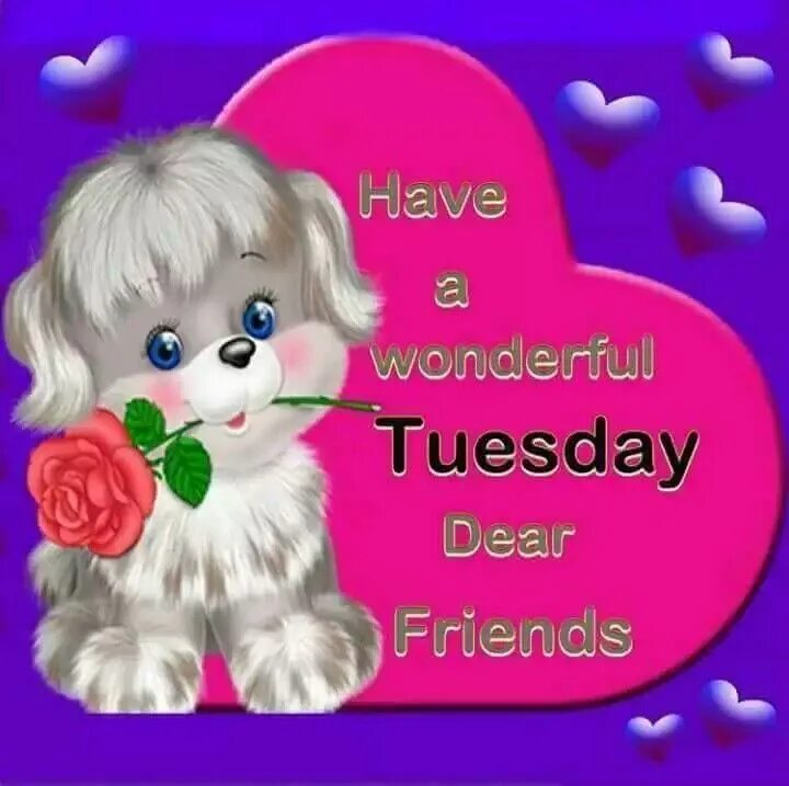 Dear friend good day. Tuesday картинки. Happy Tuesday картинки красивые. Good Tuesday. Tuesday quotes.