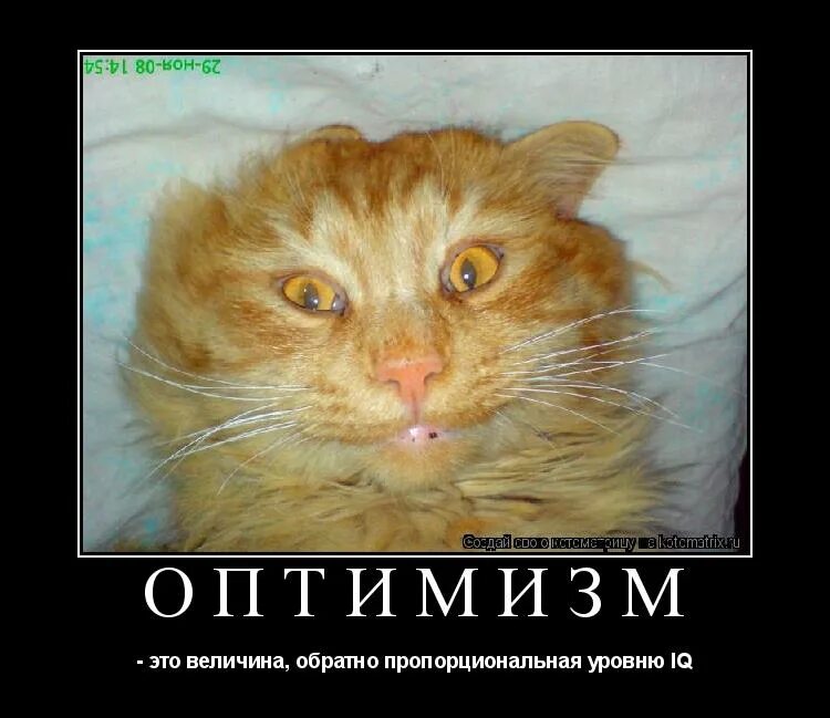 Чтобы жизнь медом не казалась