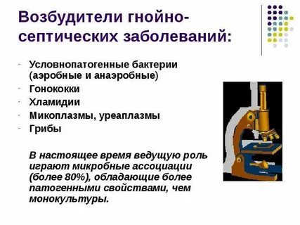 7 возбудитель