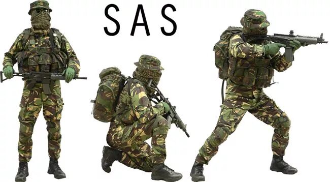 Экипировка спецназа САС. SAS экипировка 2020. SAS британский спецназ экипировка. Форма британского спецназа SAS. Https sas ficto referral eguipment 2024