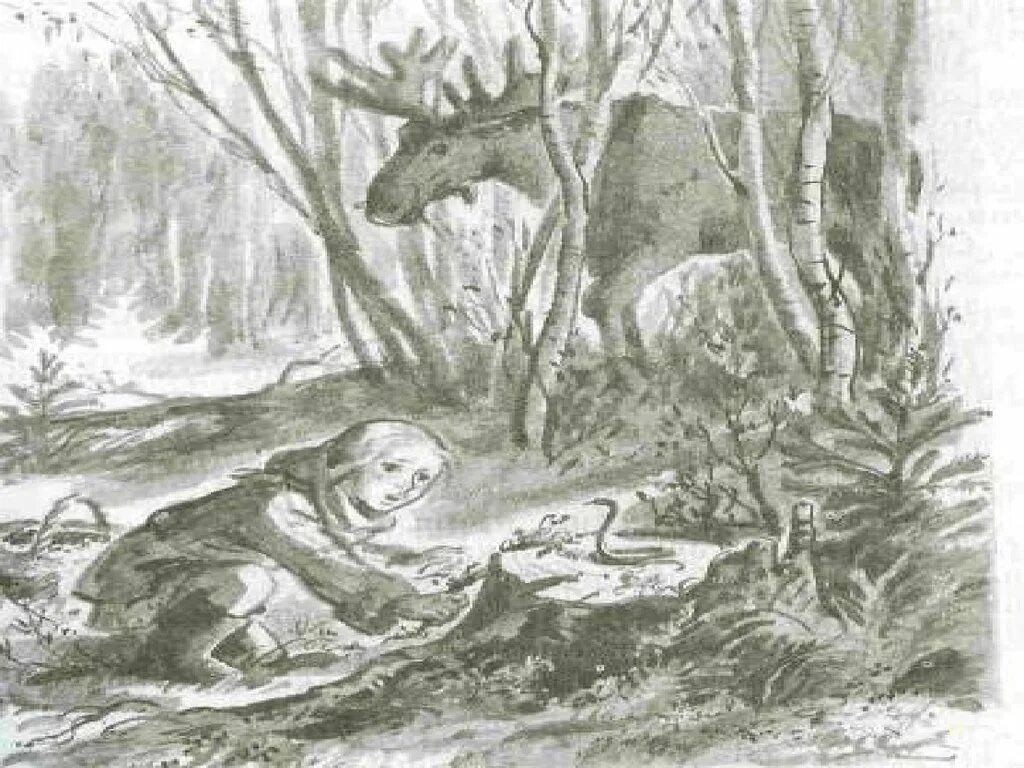 Кладовая солнца слушать полностью. Кладовая солнца Пришвина. Иллюстрация к рассказу Пришвина кладовая солнца. Пришвин кладовая солнца Митраша. Кладовая солнца пришвин иллюстрации к рассказу.