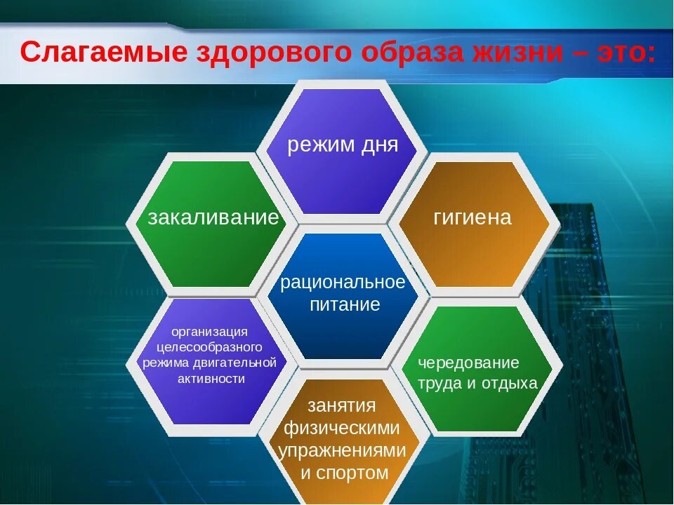 Главный элемент жизни. Слагаемые ЗОЖ. Слагаемые здоровья образа жизни. Слагаемые здорового образа. Основные слагаемые ЗОЖ.