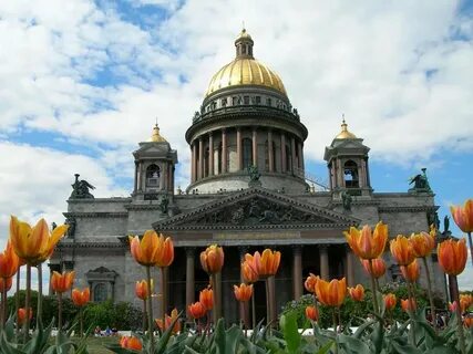 Петербург цветы сайт