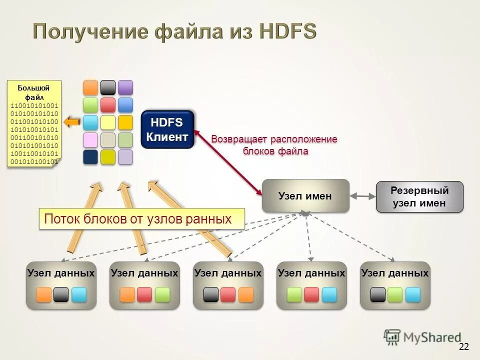 файловая система информатика 7 класс. файловые системы и структуры ос. каталог (файловая система). схематическая структура файловой системы. возможности ос по управлению файловые системы.