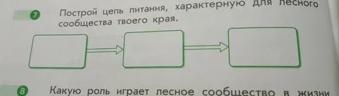 Цепь питания лесной зоны 4
