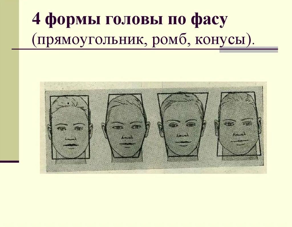Вид формы головки. Форма головы. типы головы. форма головы бывает. типы формы головы человека.