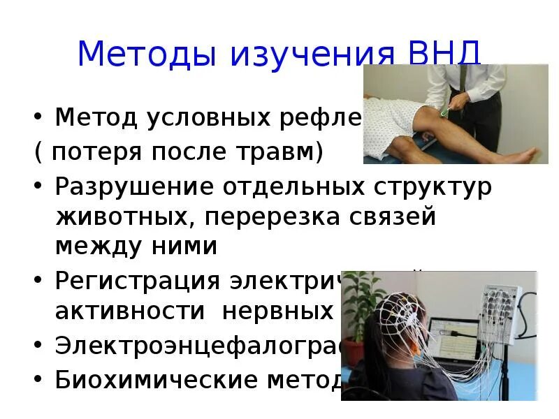 Методы исследования высшей нервной деятельности. Методы изучения высшей нервной деятельности. Методы исследования ВНД человека. Современные методы исследования ВНД.