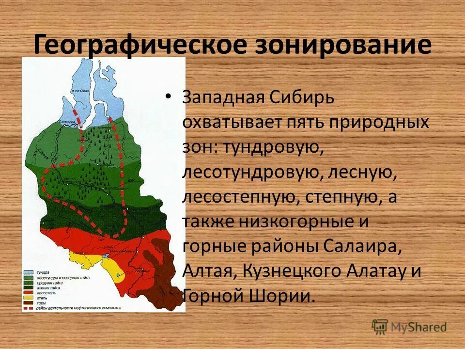 Природные зоны западно сибирской равнины карта. Природные зоны западно сибирской равнины. Природные зоны западно сибирской равнины. Природные зоны средней сибири. Границы природных зон западной сибири.