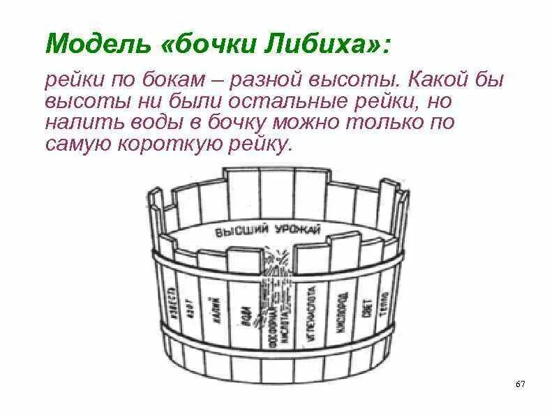 Закон минимума в экологии. Бочка Либиха и лимитирующие факторы. Бочка Юстуса Либиха. Биология бочка Либиха. Закон минимума бочка Либиха.