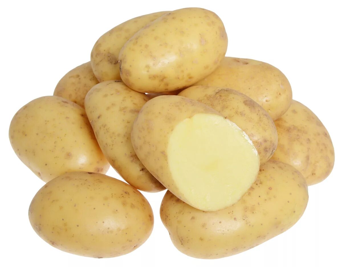 Сорт гретта картофель. Сорт картофеля энигма. Сорт картофеля беллароза. Картофель сорт агнета. Картофель первого сорта.
