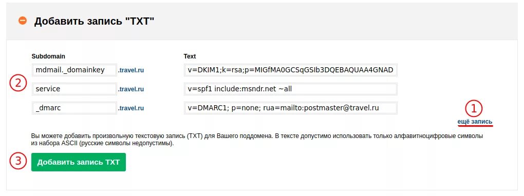 Проверить запись предложения. DNS записи. Как в DNS добавить запись. Пример txt записи в DNS. Запись а рег ру.