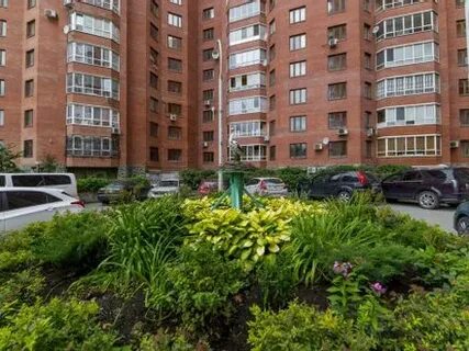 Ботаника кольцово