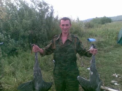 Петухи владимира