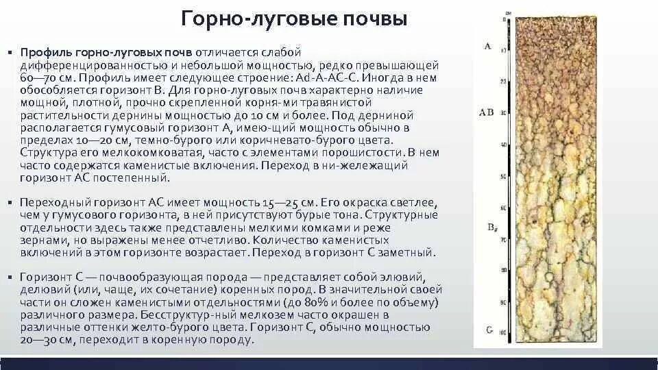 В чем состоит отличие почвы от горной. Горно луговые почвы почвенный профиль. Бурые Горно-Лесные почвы Крыма. Горные лугово-степные почвы. Бурые почвы профиль.