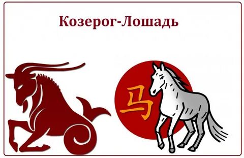 Телец рожденный в год лошади