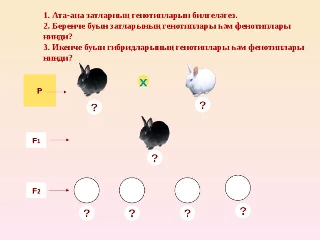 Моногибридное скрещивание биология 10. Моногибридное скрещивание это в биологии 10 класс. Моногибридное скрещивание 10 класс биология конспект. Схема моногибридного скрещивания.